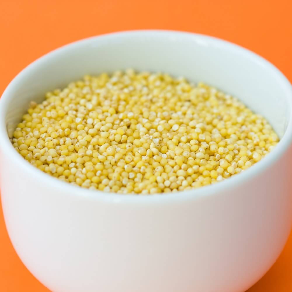 Organic Sorghum