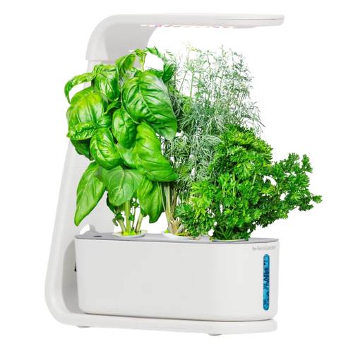 AeroGarden Sprout