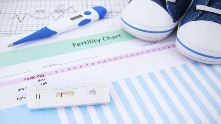 Basal Body Temperature: Can It Really Help You Conceive?
