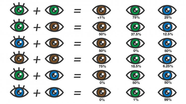 Eye Color Chart- What Color Eyes Will My Baby Have post by Mama Natural