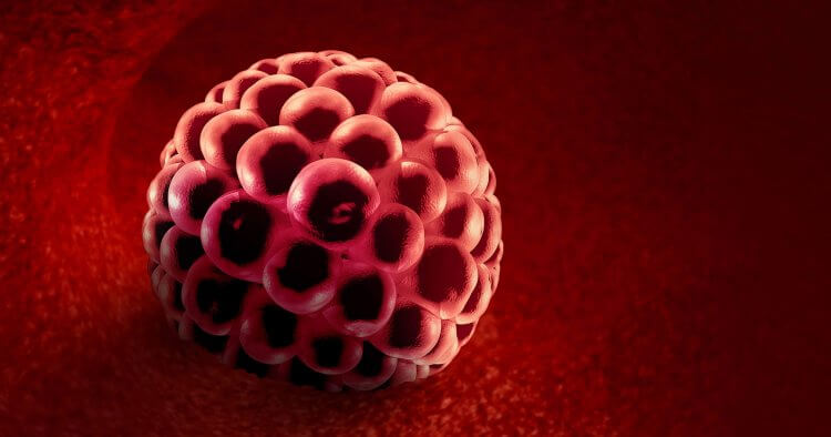 When does implantation occur? How is implantation bleeding different from menstrual bleeding? How long does implantation bleeding last? Find out here!
