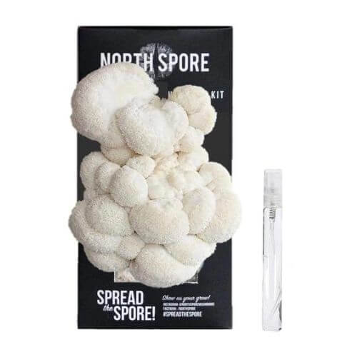 Organic Lion's Mane ‘Spray & Grow’ Mushroom Growing Kit