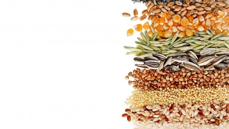 How To Save Money On Groceries the real food way. Grains are an area where you can really cut costs and save on your groceries. Find out how to do it!