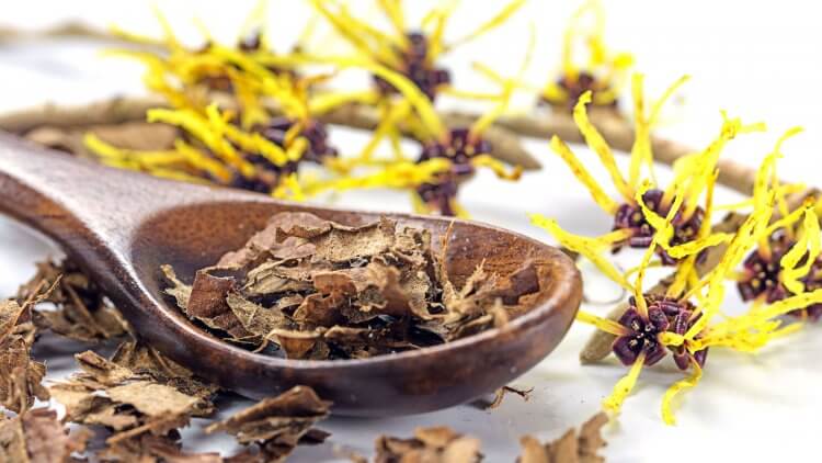 Got a pimple? Hemorrhoids? Eczema? Dandruff? Ever considered putting witch hazel on it? You’d be surprised at all of the things that this inexpensive, one-ingredient remedy can do. Here, we’ll explain what it is and what you can do with it.